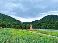 Shimenshan Forest Park