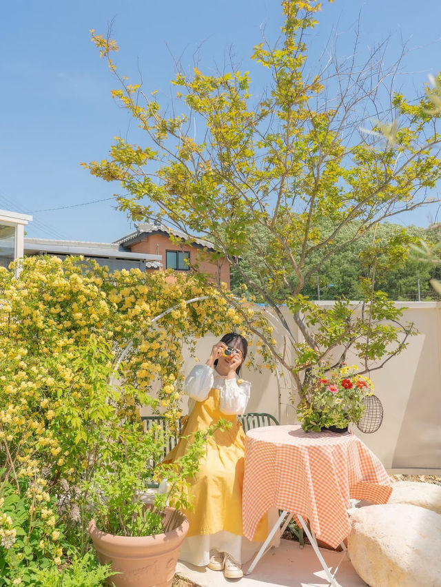 행복한 사장님이 가꾸시는 장미 정원 카페🌼💛