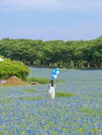 (실시간) 파란 물결 시작된 아그로랜드🌿💙