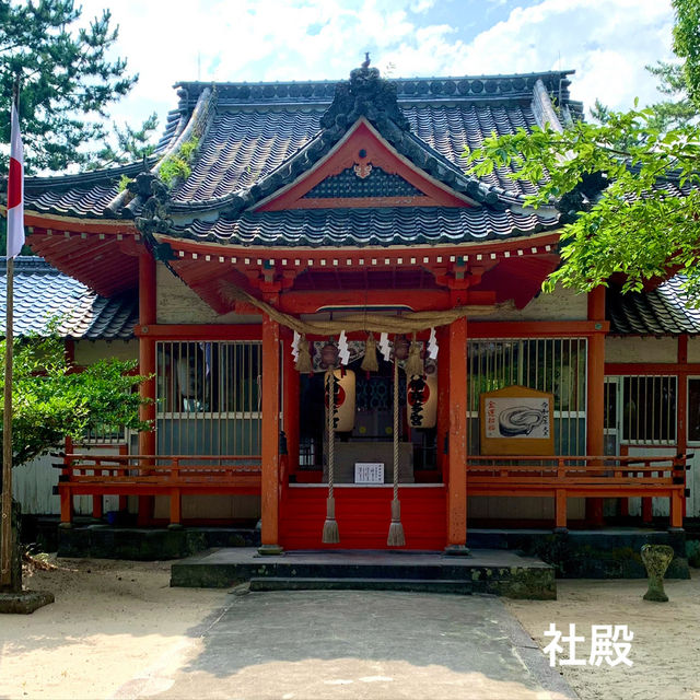【おんせん県おおいた】潮風を感じて参拝【八幡奈多宮】こんなロケーション珍しいのでは？