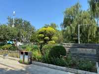Shijingshan Park 🪷 