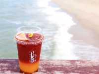 Beaver on The Beach