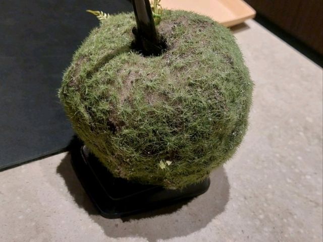📍星野奧入瀨溪流飯店｜一泊二食・蘋果控天堂🍎