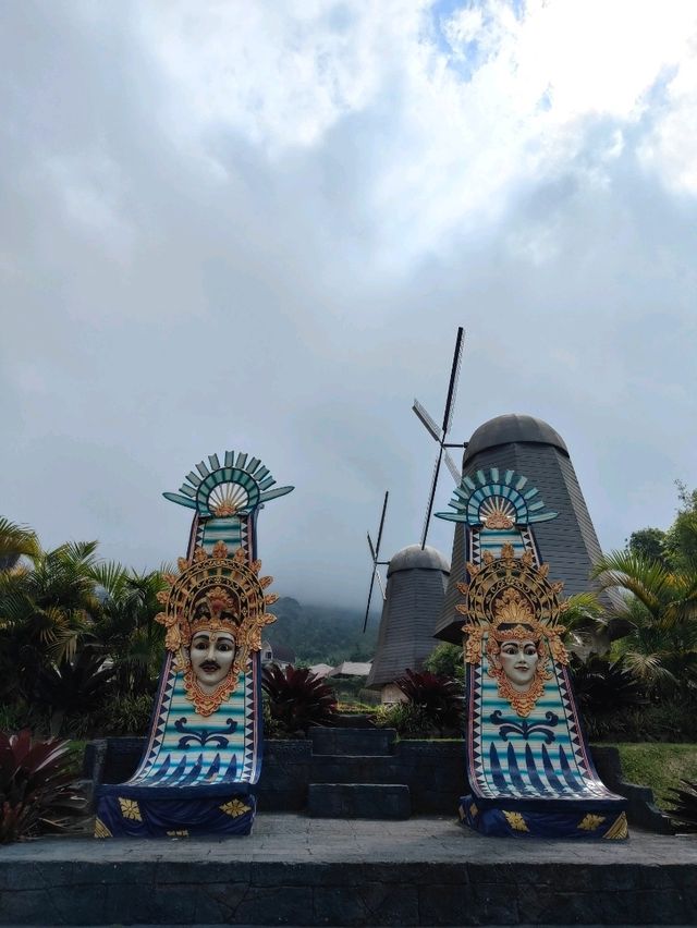 🦚 The Blooming Majesty: Bali’s Giant Peacock in Full Flower
