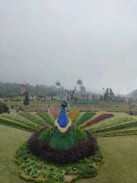 🦚 The Blooming Majesty: Bali’s Giant Peacock in Full Flower