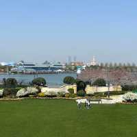 🏰 Staying at Shanghai Disneyland Hotel – Where Magic Begins Before the Park!