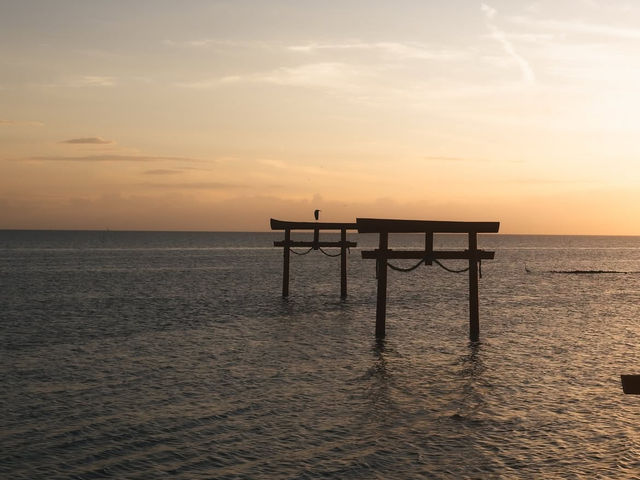 【大魚神社の海中鳥居】潮の満ち引きが生む神秘の絶景⛩️🌊