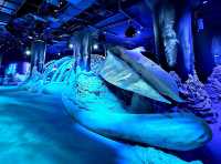 Into the Deep: Where Giants Rest