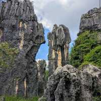 Shilin Stone Forest (Kunming, Yunnan)