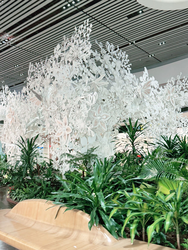 ✨A Layover That Felt Like a Vacation – My Amazing Experience at Changi Airport ✨
