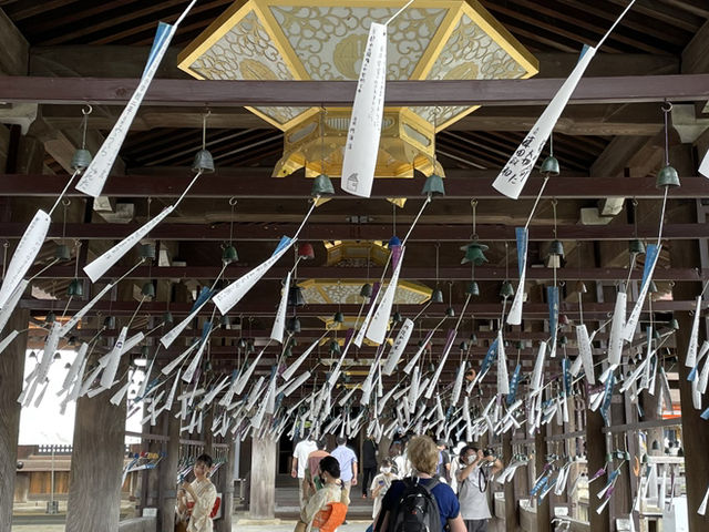 毎年真夏の清水寺を涼しく彩る風鈴まつりが今年も開催🎐🏮👘✨