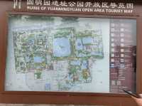 First Glimpse: The Ginkgo Boulevard of Yuanmingyuan