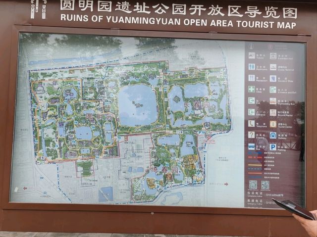 First Glimpse: The Ginkgo Boulevard of Yuanmingyuan