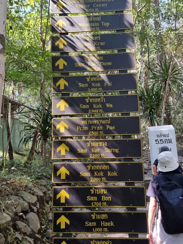 ครั้งนึงเคยพิชิต “ภูกระดึง” ⛰️🏞️🌄
