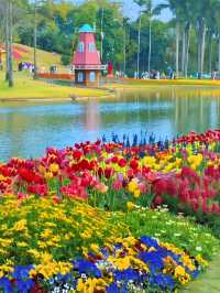 🌼 The best flower seas in Guangzhou