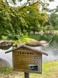 🇯🇵日本✈️名古屋池泉式庭園德川園