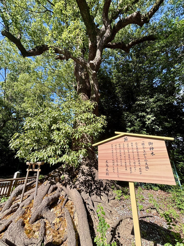 【大阪】 大鳥大社