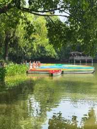 A Leisurely Day at Chengdu Renmin Park