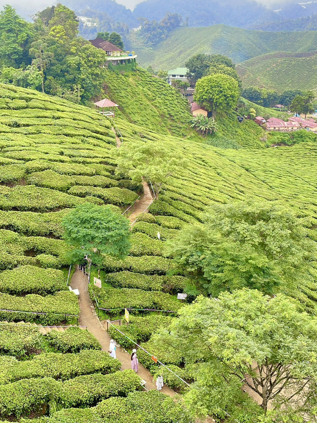 A place that leaves you feeling calm, and deeply inspired🌴🌳🌲🌸👫😎 A place that leaves you feeling calm, and deeply inspired🌴🌳🌲🌸👫😎