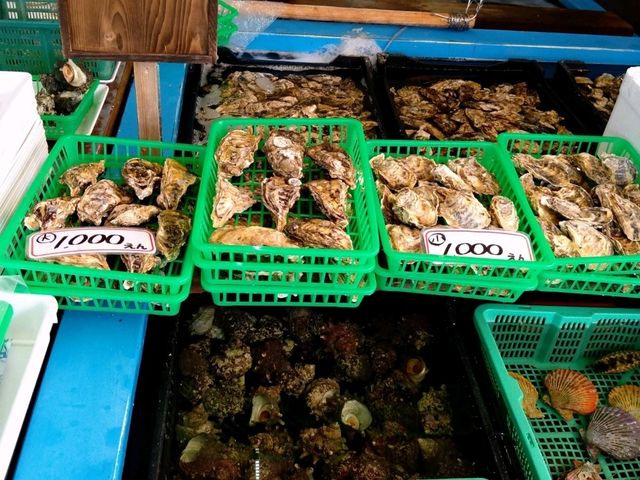 佐賀満喫　レンタカーで巡るグルメと観光の1泊2日