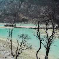 Mist and Magic: Kawah Putih’s Ethereal Embrace