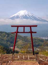 【富士山腳下｜仰望聖山的寧靜時光】