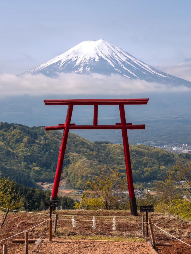 【富士山腳下｜仰望聖山的寧靜時光】