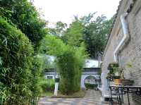 Garden of Four Seasons: A Symphony of Chinese Architecture in Kowloon Walled City Park