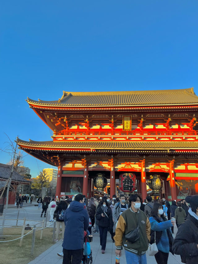 🗼 도쿄에서 꼭 가봐야 할 랜드마크 모음! 