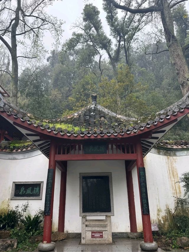 Yuelu Academy: The Millennium Cradle of Chinese Wisdom