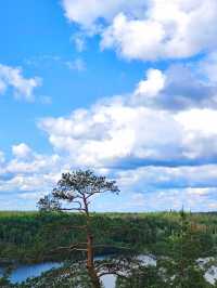Nuuksio National Park – Finland