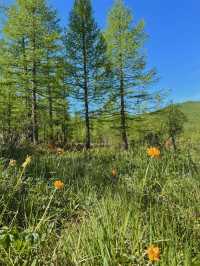 Reindeer Herders’ Village – Taiga, Mongolia