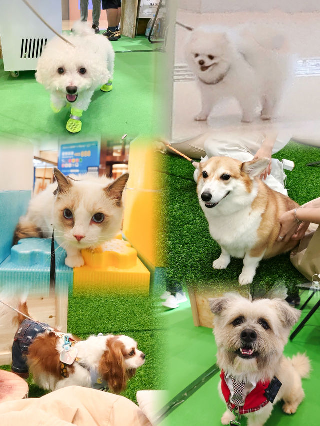 🐶☕️合和商場 舉辦「山林祭 ‧ 山飲啡語」⛰️🎤 🐶☕️合和商場 舉辦「山林祭 ‧ 山飲啡語」⛰️🎤