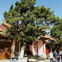 Living Couplet of Nature and Heritage
