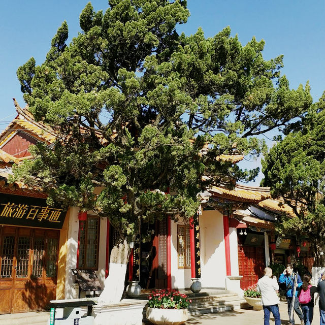 Living Couplet of Nature and Heritage