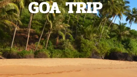 ✈️ Explore Goa, India: Must-visit Check-in Spots! — traveler post in Baga