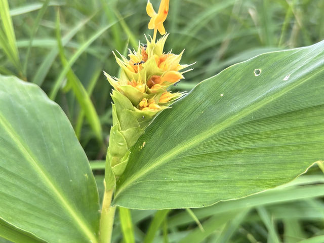 หมอกสวยๆ ที่ป่าหินงาม