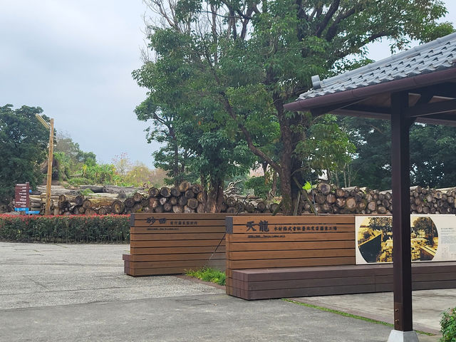 宜蘭羅東林業文化園區：結合林業歷史與自然生態的清新體驗
