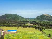 🌲 절물오름 – 삼나무 숲의 청량한 공기