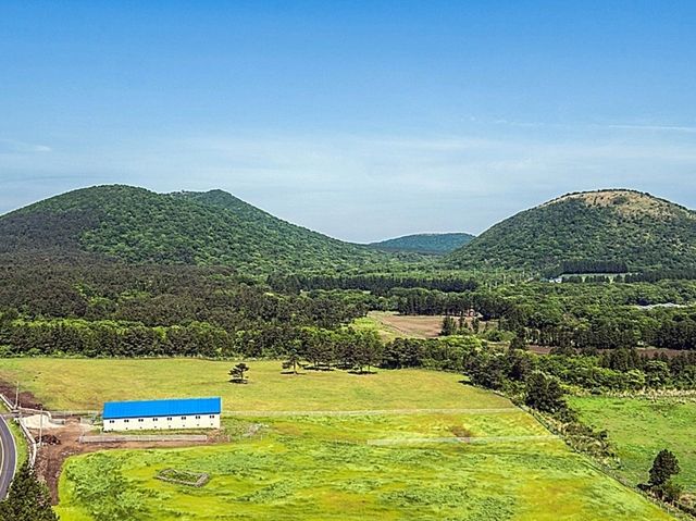 🌲 절물오름 – 삼나무 숲의 청량한 공기 🌲 절물오름 – 삼나무 숲의 청량한 공기