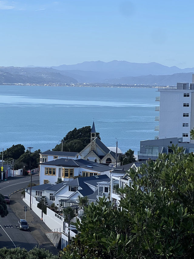 Nature’s Canvas: Exploring New Zealand’s Living Landscapes 