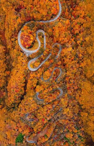 가을 여행 – 닛코 & 고치아 힐스 🍁✨🌸