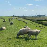 Dornumersiel A Peaceful Seaside Escape in Lower Saxony