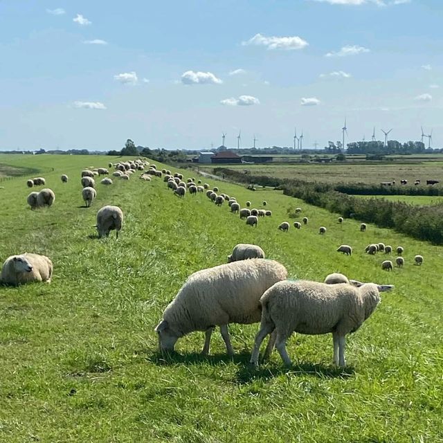 Dornumersiel A Peaceful Seaside Escape in Lower Saxony