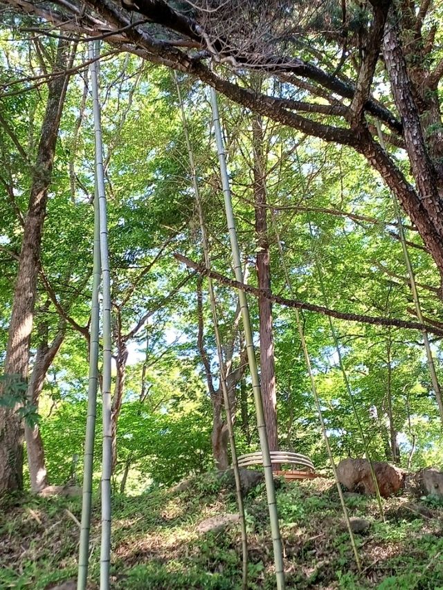 산세와 어우러지는 웅장한 모습이 인상적 산세와 어우러지는 웅장한 모습이 인상적