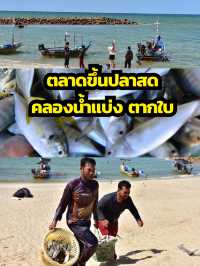 สดกว่านี้ไม่มีอึกแล้ว ตลาดปลาทะเล ตากใบ