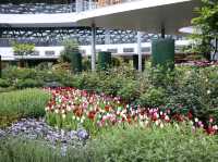 🌷 Flora Exhivition Hallโฉมใหม่