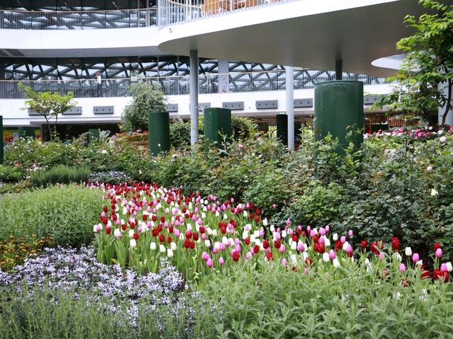 🌷 Flora Exhivition Hallโฉมใหม่ 🌷 Flora Exhivition Hallโฉมใหม่