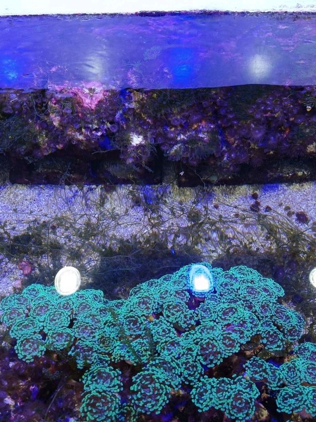 需提前預約的屏東海生館後場參訪！