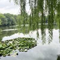 ๐ Zhejiang Highlights: Shanghai โ Suzhou โ Hangzhou ๐
